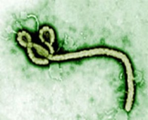 ebola02_06
