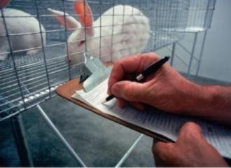 São Paulo proíbe testes de laboratório com animais para fabricação de cosméticos