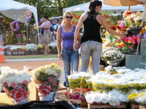 Brasil deixa de exportar flores e passa a importar