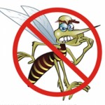 Combate a dengue