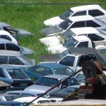 Reunião estadual em Santa Cruz