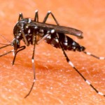 Santa Cruz do Rio Pardo confirma mais um caso de dengue