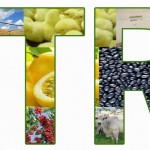 Receita Federal disponibiliza em site programa para declaração do ITR