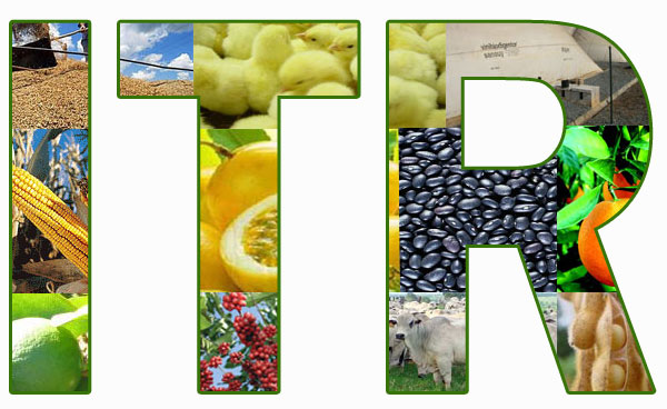 Receita Federal disponibiliza em site programa para declaração do ITR