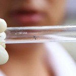Sete casos de dengue confirmados em Santa Cruz do Rio Pardo