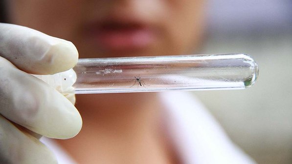 Santa Cruz do Rio Pardo: Sete casos confirmados de dengue em 2020