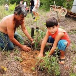 ECO de Ourinhos faz o plantio de 100 mudas de árvores