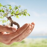 IX Semana do Meio Ambiente será realizada nos dias 26 e 27 de maio no Teatro Municipal