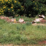 Prefeitura de Ourinhos alerta população sobre a preservação de limpeza nos terrenos