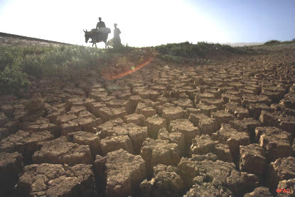 Governo quer sugestões para enfrentar mudanças do clima