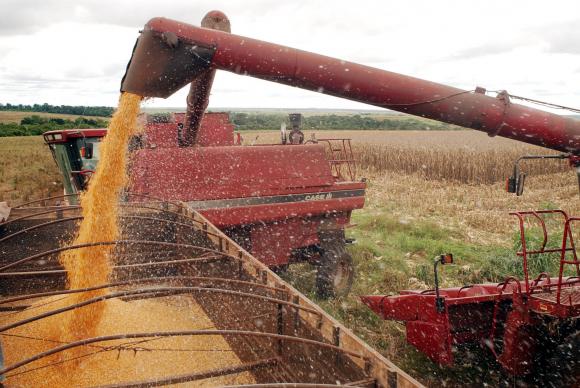 Agricultura pode ajudar Brasil a erradicar pobreza, diz representante da FAO