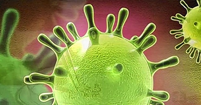 Zika teve relação em 40% dos casos de microcefalia