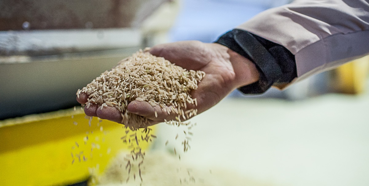 Abiarroz ganha o prêmio Exportação RS, da ADVB