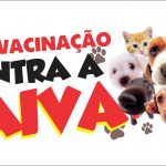 Vacinação antirrábica animal termina neste final de semana em Santa Cruz