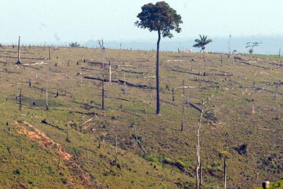Brasil entrega à ONU documento de ratificação do Acordo de Paris