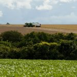 Imposto sobre a Propriedade Territorial Rural deve ser pago até amanhã