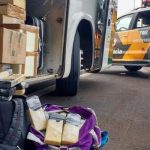 Casal é preso na Rodovia Raposo Tavares com 30 tijolos de maconha dentro de ônibus