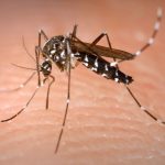 Mais quatro casos de dengue confirmados em Santa Cruz