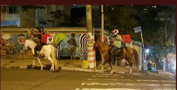 cavalos