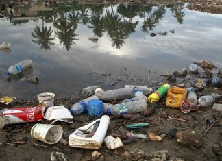 Para ONU, Brasil deve seguir debate sobre plásticos descartáveis