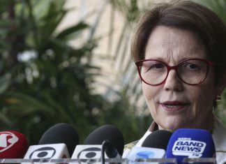 Agricultura deve incorporar pesca, pequenos produtores e Incra, indica futura ministra