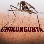 Secretaria da Saúde de Santa Cruz investiga caso de Chikungunya no município