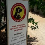 Associação Defensora dos Animais de Ourinhos realizará evento para angariar fundos