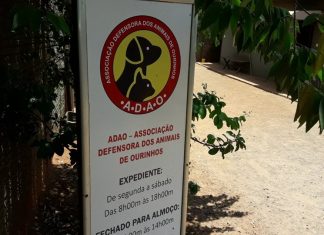 Associação Defensora dos Animais de Ourinhos realizará evento para angariar fundos