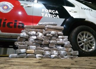 Mulheres são presas com 61 tabletes de maconha em Ourinhos