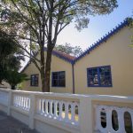 Falta tempo? Conheça cinco museus para visitar sem sair de casa