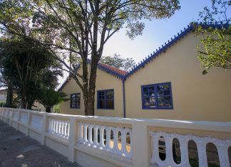 Falta tempo? Conheça cinco museus para visitar sem sair de casa