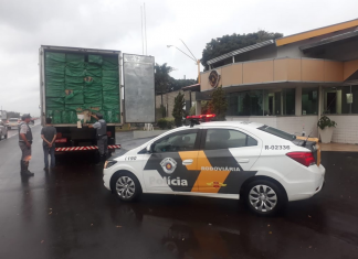 Polícia apreende 150 mil maços de cigarros contrabandeados em Ourinhos