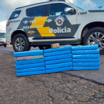 Adolescente é flagrada em ônibus com 14 quilos de maconha dentro da mala em Santa Cruz do Rio Pardo