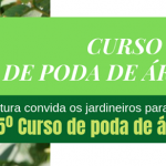 Secretaria de Meio Ambiente de Santa Cruz do Rio Pardo realizará curso de poda de árvores