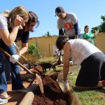 Special Dog apresenta programa de voluntariado “Cuidar – Transformando o mundo com o que temos de melhor”