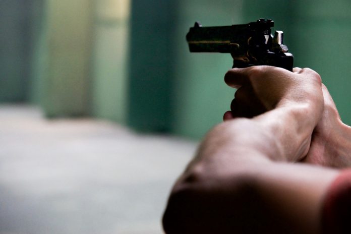 gun-2227646_1280-1024x683