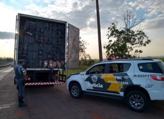 Motorista de caminhão é flagrado com milhares de maços de cigarros em Ourinhos