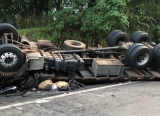 Motorista morre ao capotar caminhão na BR-153