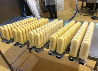 Picolé de cerveja vira aposta para verão e carnaval