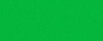 WHATS-BANNER