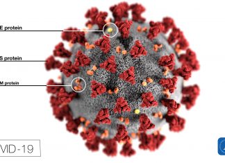 EUA investigam hipótese de que coronavírus tenha surgido em laboratório chinês