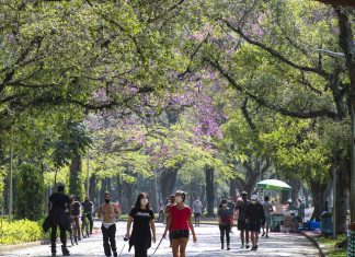 Capital paulista tem dia mais quente do ano