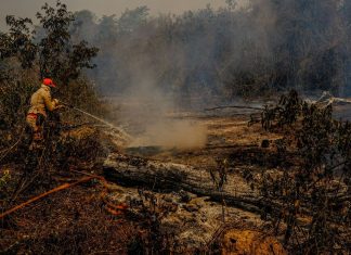 O Ministério do Desenvolvimento Regional liberou R$ 3,8 milhões para ações de combate aos incêndios florestais que atingem a região do Pantanal, em Mato Grosso do Sul.