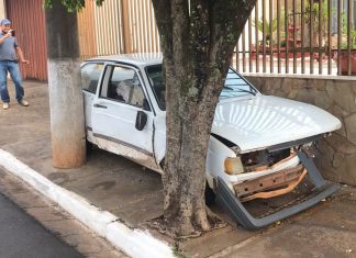 Fartura: carro fica prensado entre poste, árvore e muro.