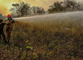 Governo manda 71 soldados para reforçar combate a fogo no Pantanal