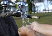Mês de março tem Dia da Mulher, início do outono e Dia da Água