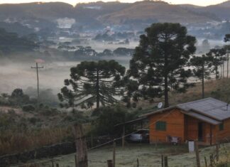 Urupema (SC) registra primeira temperatura negativa de 2021 no país