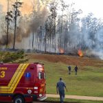 Avião cai em área de mata e sete pessoas morrem em Piracicaba; sócio da Raízen e família estão entre as vítimas