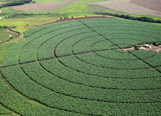 Senado aprova MP que aumenta garantias para setor agro captar recursos
