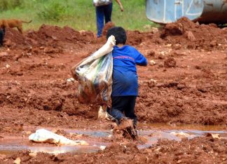 Fome atingiu 828 milhões de pessoas em 2021, mostra relatório da ONU
